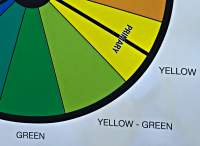 Yellow- Green Segment